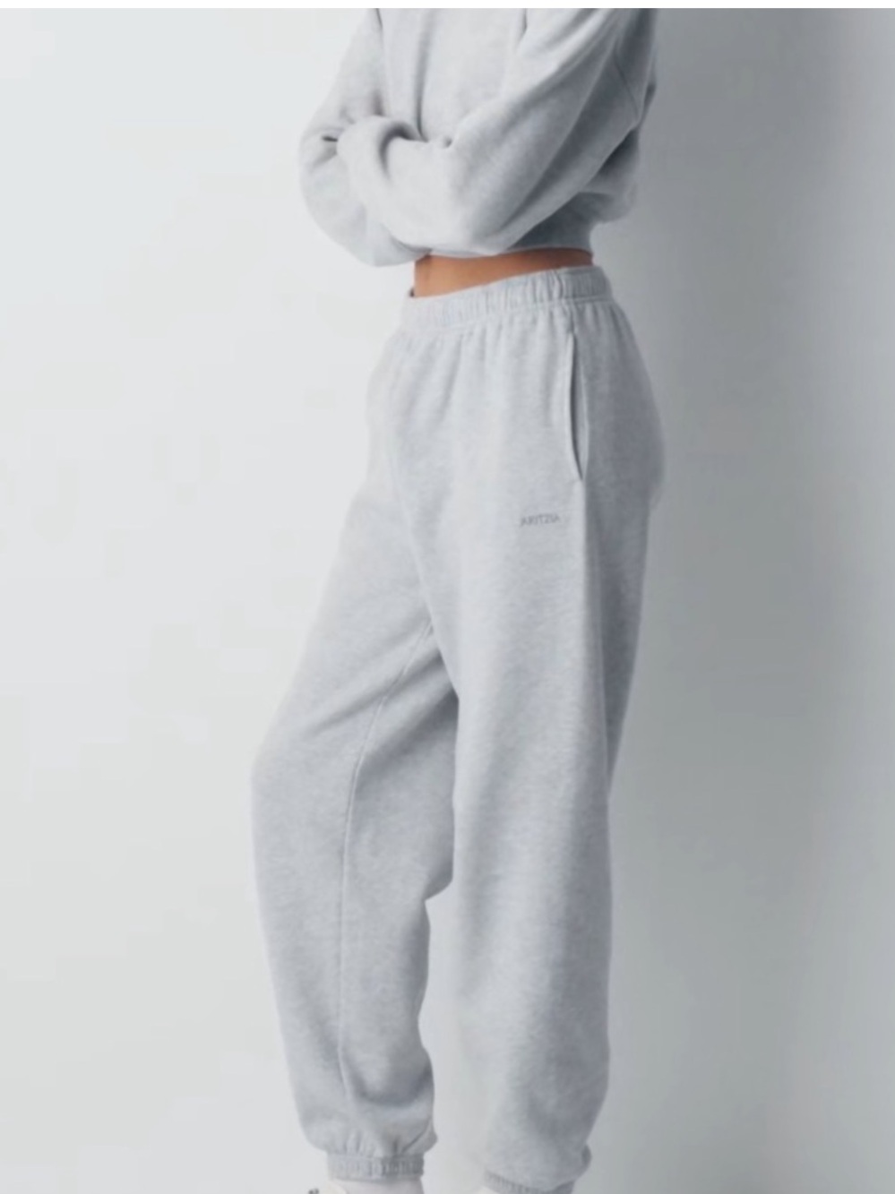Aritzia Cozy Sweatfleece Mega Jogger